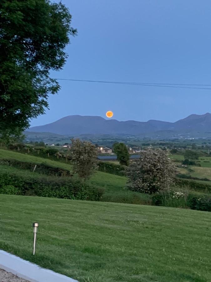 The View At 37 B&B Banbridge Exterior foto