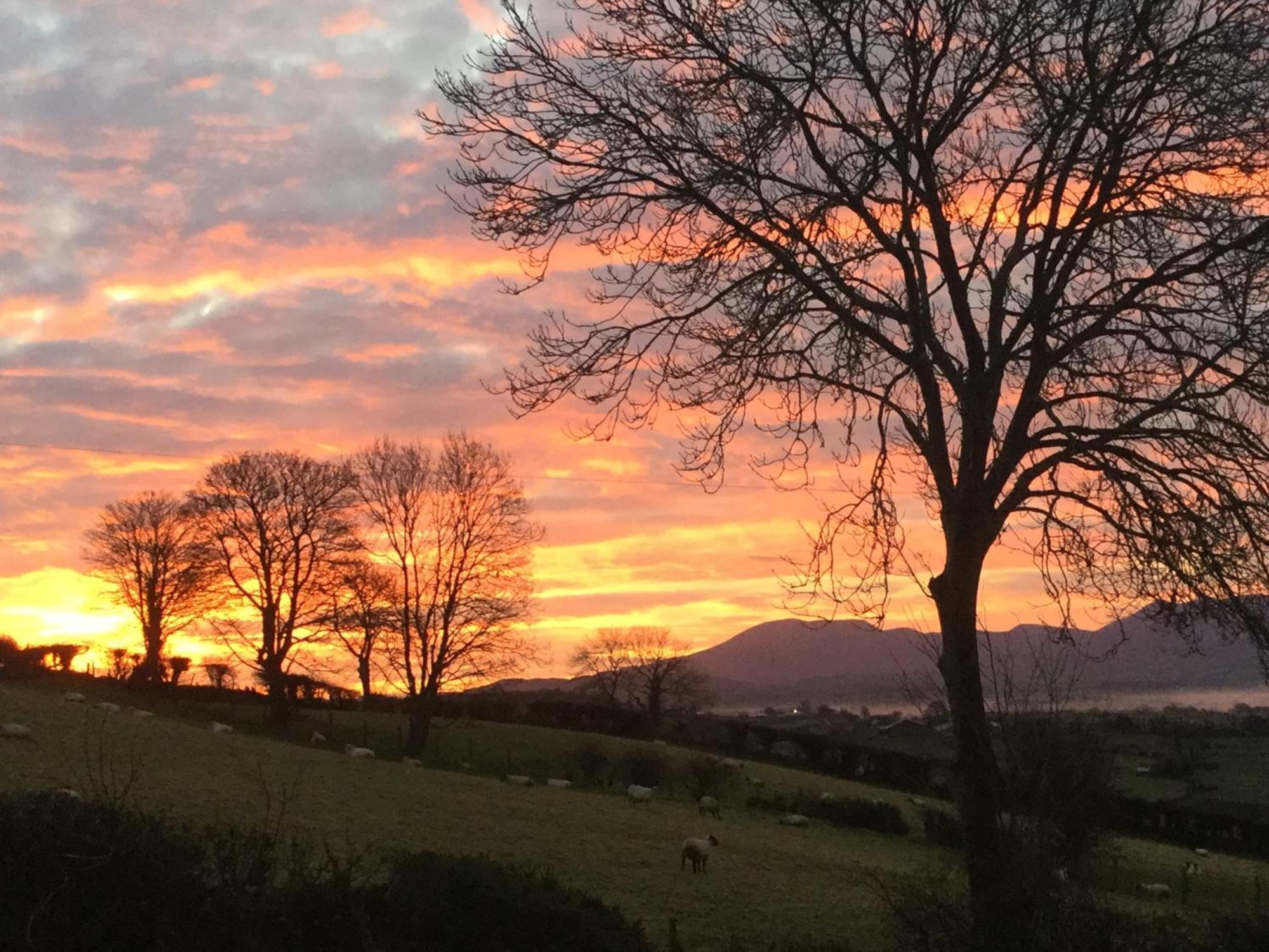 The View At 37 B&B Banbridge Exterior foto